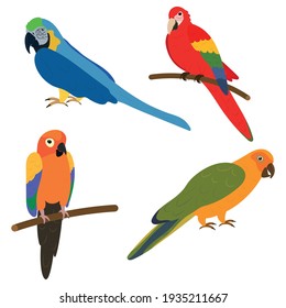 Set of different tropical parrots. Vector illustration. White background.