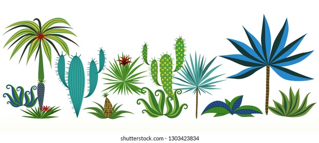 Set of different tropical plants and trees. Vector illustration.