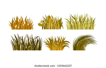 Set Of Different Tufts Of Yellow And Brown Grass Vector Illustration