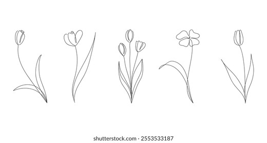 Set of different tulip flowers. First spring flowers in minimalist art. Sketch. Botanical vector illustration. 