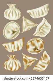 conjunto de diferentes tipos de maniquí alimentario asiático o gyoza