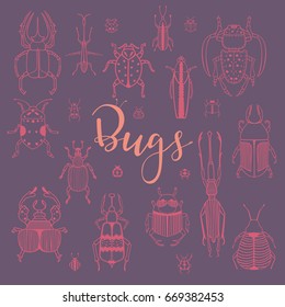 Set with different type of bugs with hand drawing text