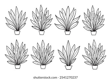 Set of Different type of Crassula ovata 8 pcs Only thin line, Solid Black color, without shadow