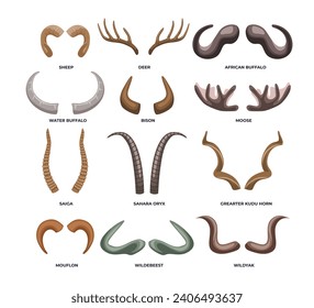 Set of different types of animal horn types for poster education, diagram, infographic or school, isolated on white background with bighorn, sheep, bison, buffalo, deer, antler vector illustration.