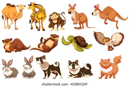 Set of different types of animals illustration