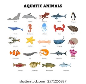 Set of different types of aquatic animal collection for education poster, vector illustration with seal, dolphin, octopus, shark, whale, penguin, seahorse, crab, jellyfish, oyster, lobster, starfish.