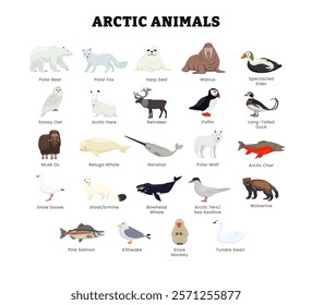 Set of different types of arctic or 
antarctica animal collection for education poster, vector illustration with harp, seal, walrus, puffin, beluga, hare, reindeer, salmon, goose, wolverine.