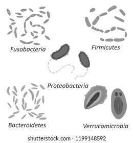 Set of different types of bacterias of human microbiome, black and white vector illustration