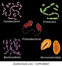 Set of different types of bacterias of human microbiome on black background, vector illustration