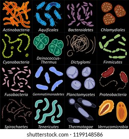 Proteobacteria Images, Stock Photos & Vectors | Shutterstock