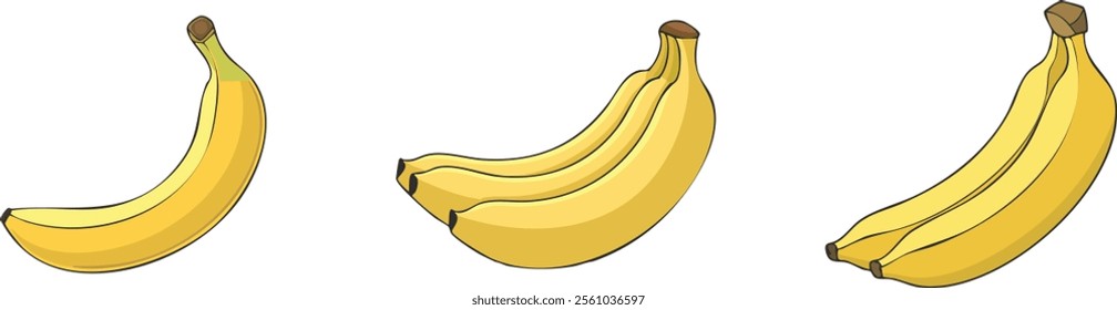 Set of different types of bananas isolated on a white background. Vector illustration 