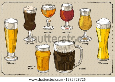 A set of different types of beer glasses. Hand drawn vector multicolor illustration. 