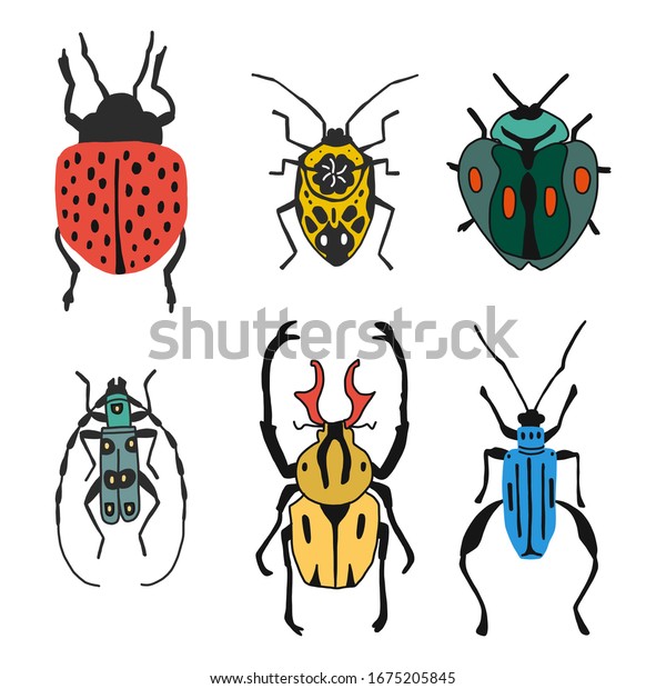 Set Of Different Types Of Bugs And Beetles Isolated On White Background In Flat Style Detailed 5113