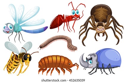 Set of different types of bugs illustration