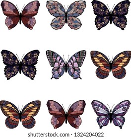 
Set of different types of butterflies. Beautiful insects. Ornament of nature. Wings with a pattern, colorful butterflies