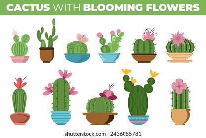 conjunto de diferentes tipos de cactus con flores florecientes