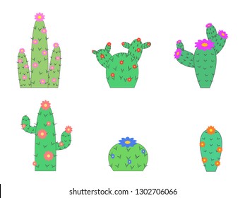 A set of different types of cactus on a white background