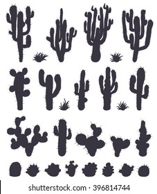 Set of different types of cactus plants isolated on white background. Cacti set. Isolated background cactuses. Vector illustration.