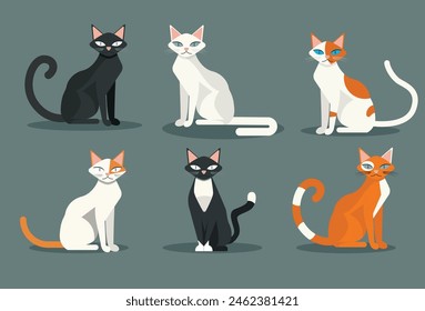 set of different types of cats