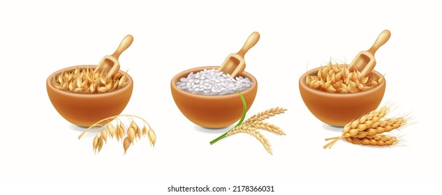 Conjunto de diferentes tipos de cereales en recipientes de madera sobre un fondo blanco. Oat, arroz, trigo, cebada y espigas realistas Vector