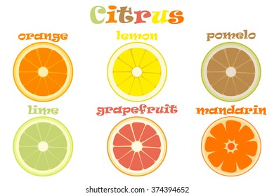 Set  of different types of citrus fruits with names