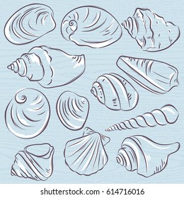 Set of different types of clams and shells on a blue  grunge background, vector illustration.