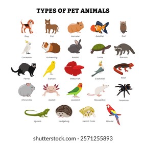 Set of different types of domestic pet animal collection for education poster, vector illustration with dog, cat, hamster, goldfish, owl, canary, axolotl, rabbit, cockatoo, turtle, iguana, macaw, crab