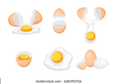 Set of different types of eggs. Vector illustration.