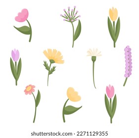 Está decorado con diferentes tipos de flores, flores coloridas y temática primaveral y veraniega. Plantilla de ilustración de vector