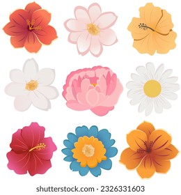 Set of different types of flowers isolated on white background. Vector illustration EPS10.