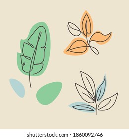 Eine Reihe verschiedener Blumenarten. Blumen und Blätter. Linienzeichnung
