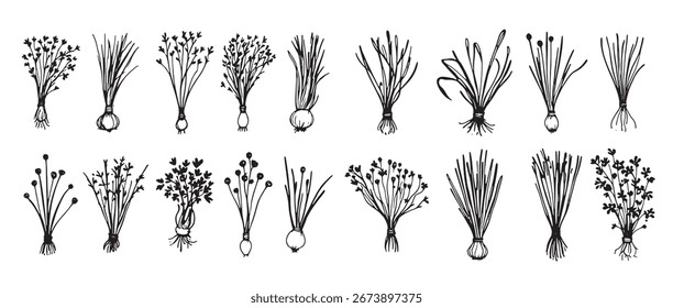 Set of different types of flowers and plants