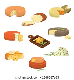 Set of different types of fresh cheese vector illustration