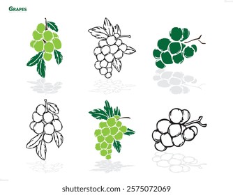 set of different types of fresh grapes