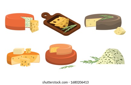 Set of different types of fresh pieces of cheese. Vector illustration in flat cartoon style.