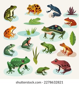 Set Of Different Types Frog Character With Leaves Element.