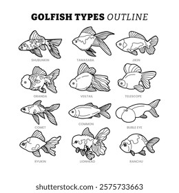 Set of different types of goldfish outline collection with line art style, goldfish swimming isolated on white background, aquatic animals vector illustration