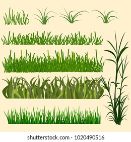 
Set of different types of grass. Meadow, field, lawn