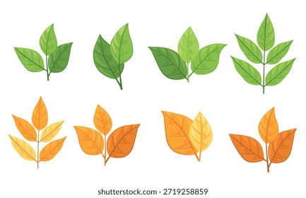 Conjunto de diferentes tipos de hojas verdes y otoñales. Concepto para diseños con temas de naturaleza y proyectos ecológicos. Ilustración vectorial