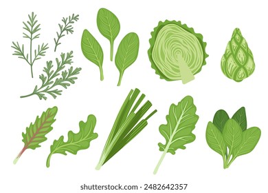 Set of different types of green edible plants leaves. Fresh tasty vegetables, ready for eat vector illustration isolated on white background