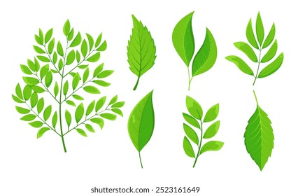 Set of different types of green leaves. Flat leaves with unique shapes and vein patterns. Icons for nature-themed designs and eco-friendly projects