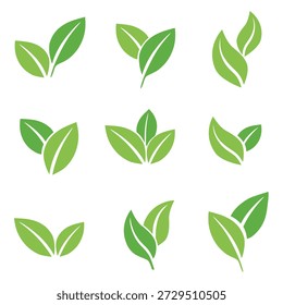conjunto de diferentes tipos de folhas verdes. Conceito para projetos temáticos da natureza e projetos ecológicos. Ilustração vetorial
