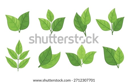 set of different types of green leaves. Concept for nature-themed designs and eco-friendly projects. Vector illustration