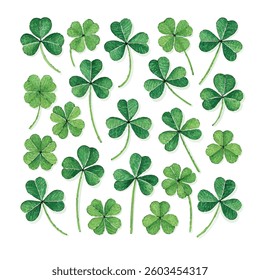 Set of different types of green shamrock clover for St. Patrick's Day