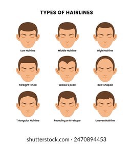 Set different types of hairlines poster with  low, middle, high, straight-lined, widow's peak, bell-shaped,triangular, receding, m-shaped, uneven. Beautiful hairstyle, trendy haircut fashion barber.