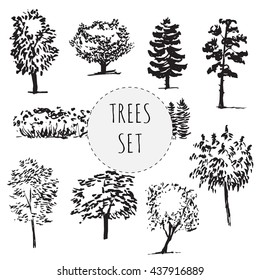 Set of different types hand drawn trees