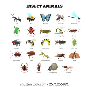 Set of different types of insect animal collection for education poster, vector illustration with ant, butterfly, bee, dragonfly, fly, mosquito, damselfly, beetle, cricket, earwig, cockroach,tick.