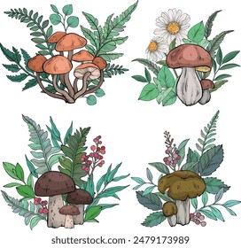 Set of different types of mushrooms, flowers and berries, ferns. Vector illustration
