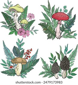 Set of different types of mushrooms, grass and berries, ferns. Vector illustration