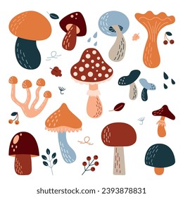 Set of different types of mushrooms. Vector doodle illustration. White mushroom, chanterelles, agarics, white mushroom, honeydew. Collection of food ingredients